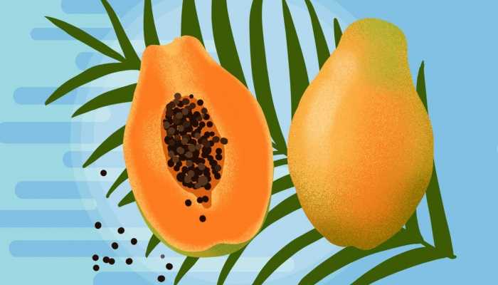 木瓜跟什么相克 木瓜的功效作用