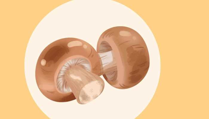 香菇跟什么相克 香菇的功效作用