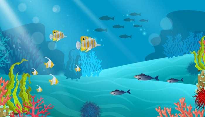 鱼豆腐是海鲜吗？ 鱼的营养价值