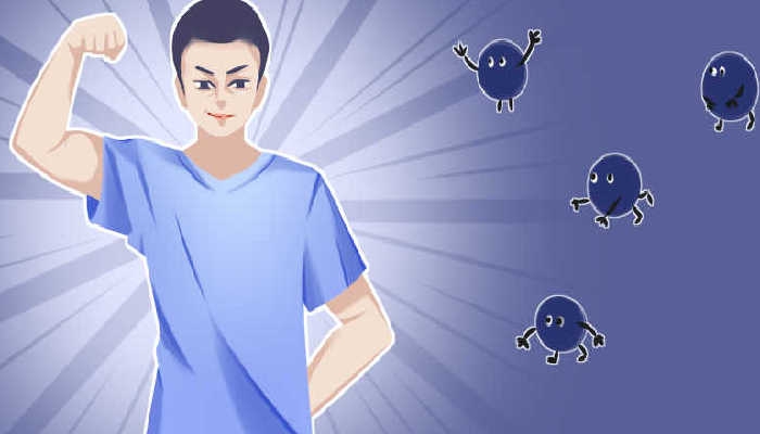 牡蛎的功效都有哪些 牡蛎的营养价值