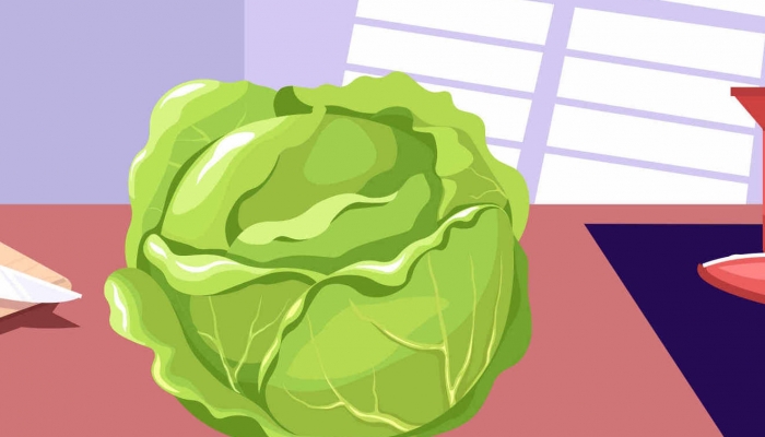 什么食物对胃好 什么食物更养胃