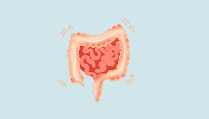 早上吃青菜对身体好吗？ 青菜的功效
