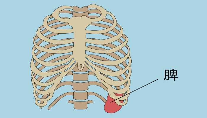 糖尿病人可以吃豆角吗？ 豆角的营养价值
