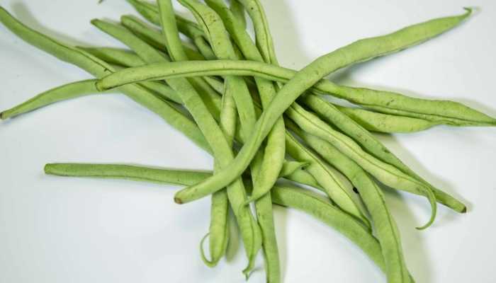 豆角的分类 豆角的营养价值