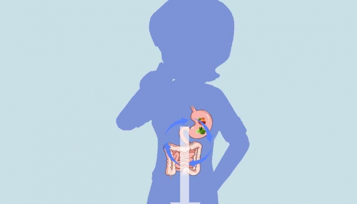 缸豆不能和什么一起吃 缸豆的功效与作用