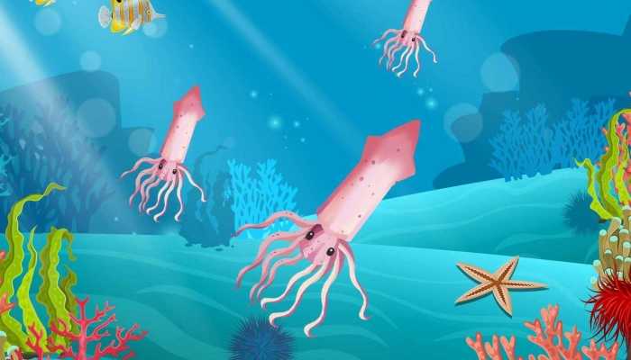 吃什么能增肥对身体好 增肥吃什么