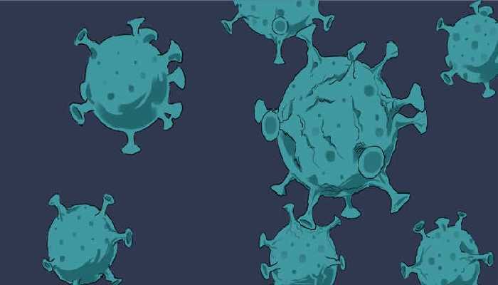 海带的功效 海带的食用禁忌