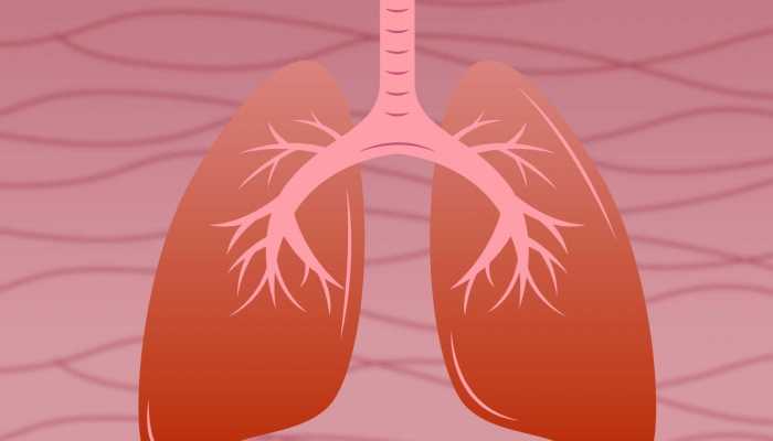 云南古法红糖的功效 云南古法红糖的好处