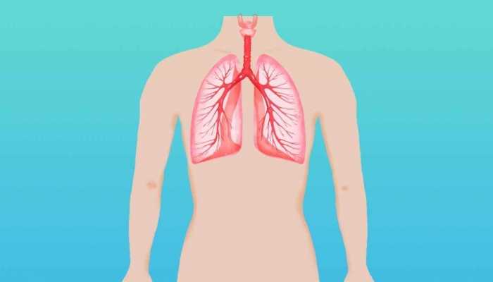 海鲜相克食物有哪些 海鲜的好处