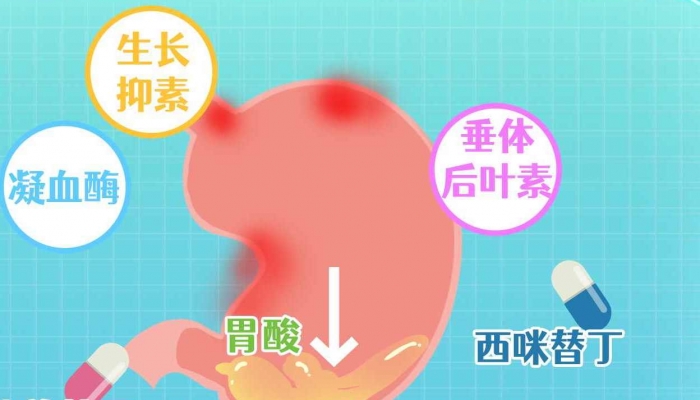酸枣的功效和作用 酸枣的禁忌