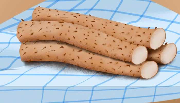 山药的功效与作用 吃山药的注意事项