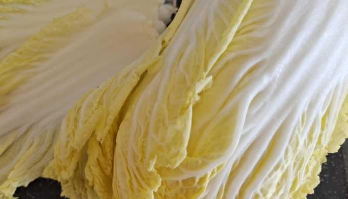 大白菜的营养价值 大白菜的保存方法