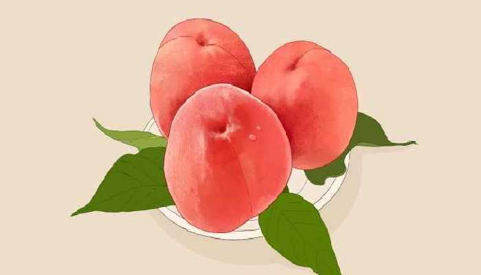 桃子和李子可以一起吃吗？ 桃子不能和什么一起吃