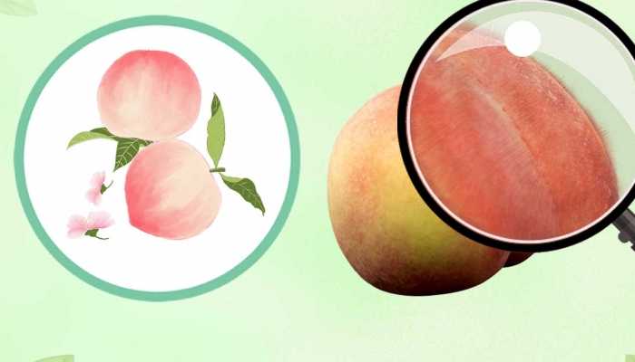 桃子的营养价值 桃子可以做成什么