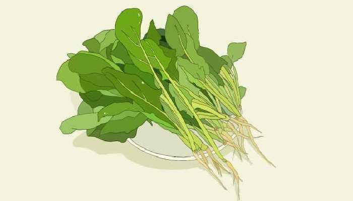 丝瓜和白菜能一起炒吗？ 丝瓜不能和什么一起吃