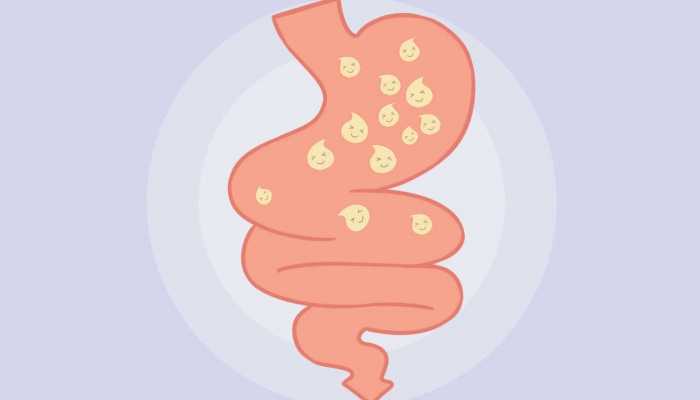 梅干功效 梅干的作用