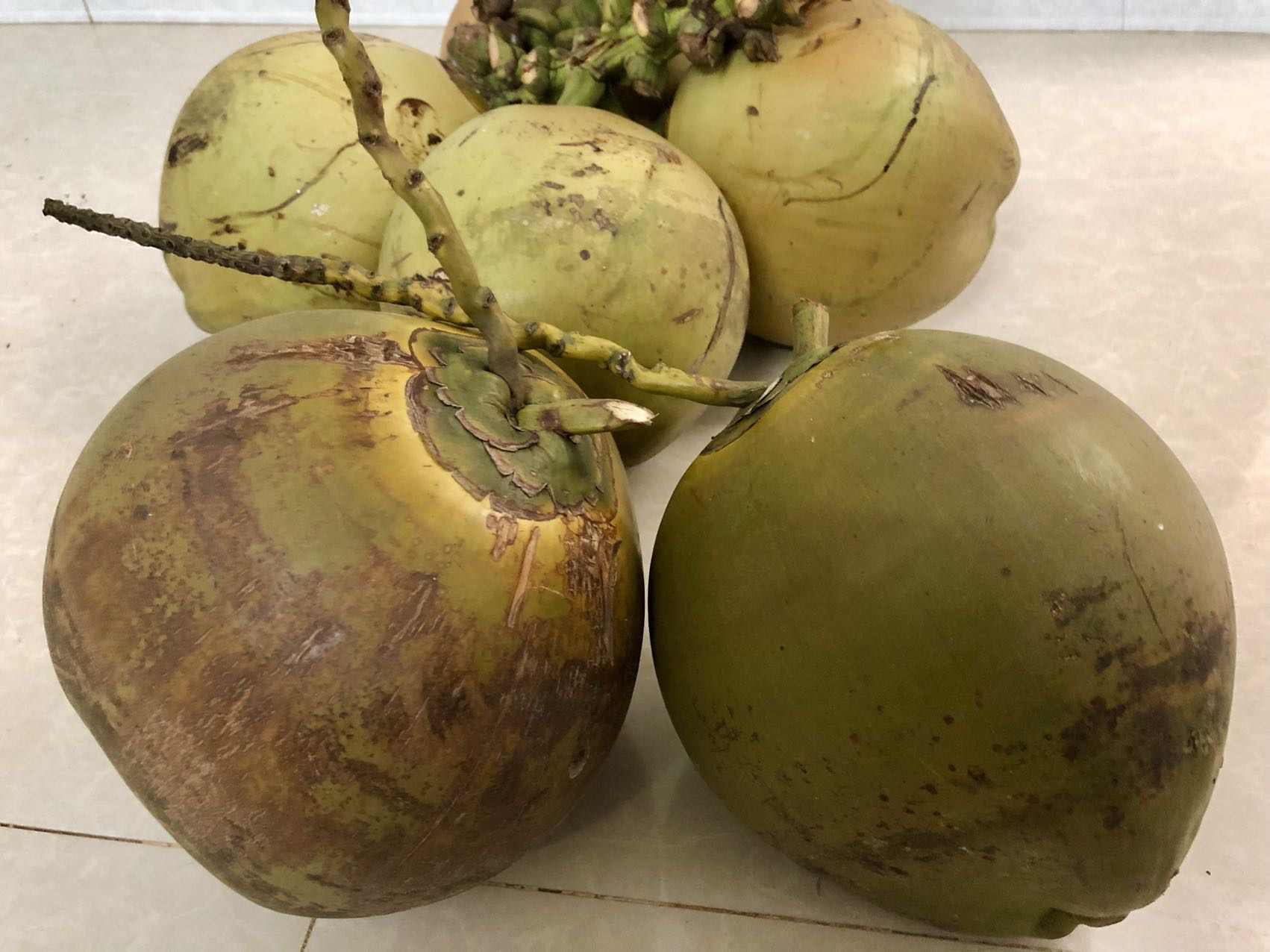 椰子的营养价值有哪些 椰子的食用禁忌