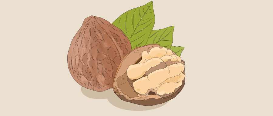 孕妇能不能吃生核桃 孕妇吃生核桃的好处