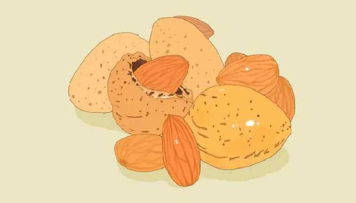 孕妇能不能吃生核桃 孕妇吃生核桃的好处