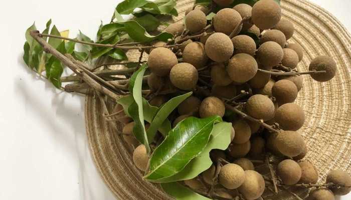 女人吃桂圆有什么好处呢 桂圆的功效