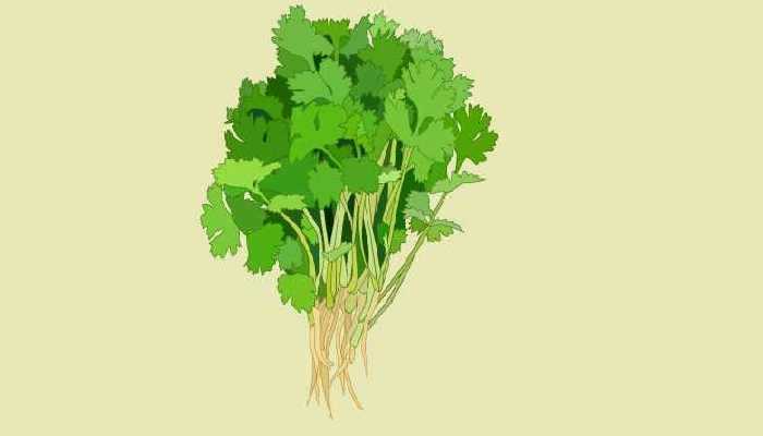 萝卜冰糖水治咳嗽吗？ 治咳嗽吃什么