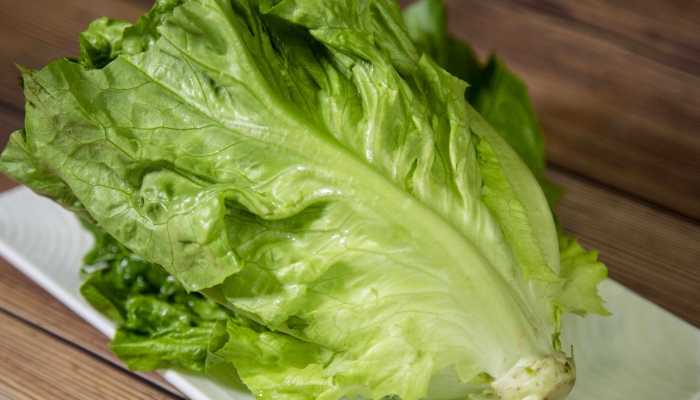 产妇可以吃生菜吗？ 产妇吃生菜的好处