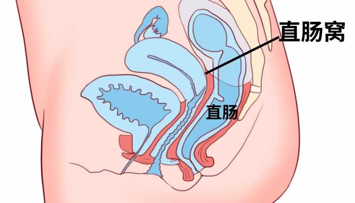 红薯燕麦粥的功效，红薯燕麦粥的注意事项