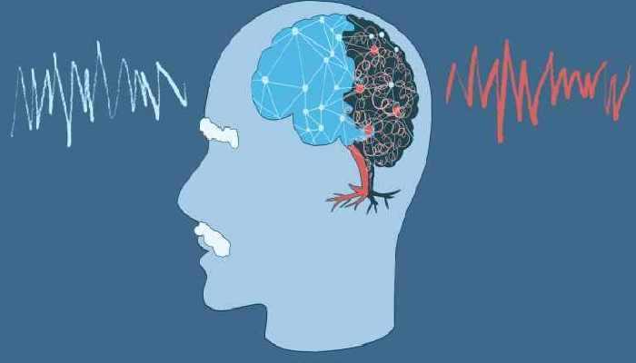 核桃的营养成分 核桃的功效