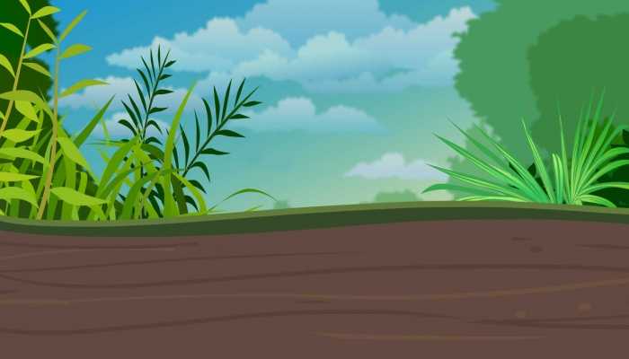 泥鳅串的功效与作用是什么，泥鳅的药用价值