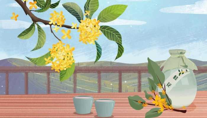 桂花酸梅汤的功效有哪些，桂花酸梅汤的做法