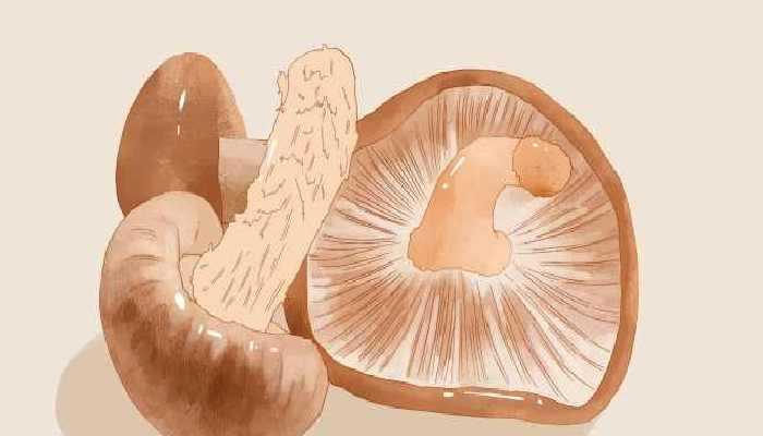 香菇乌鸡汤怎么做，乌鸡汤的做法