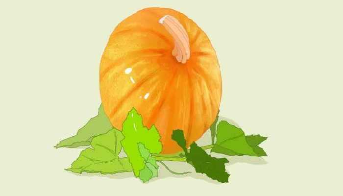 南瓜煮绿豆营养价值 南瓜煮绿豆的功效