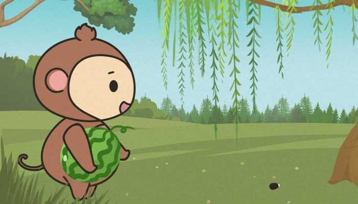 猴子肉的功效是什么，猴子的作用