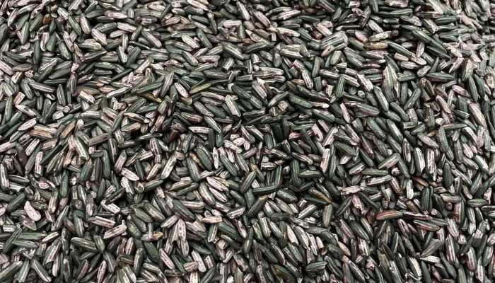 紫米酒酿功效，紫米酒酿对女人的作用