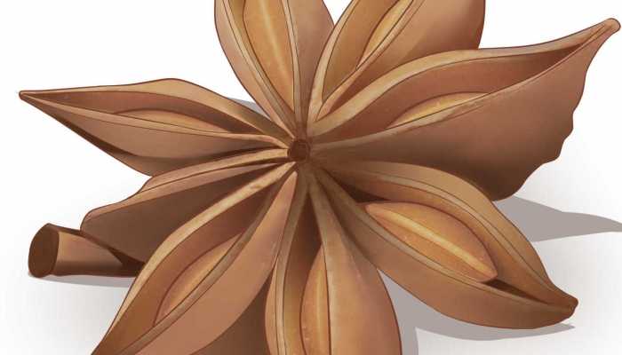 八角桂皮的功效与作用，八角桂皮的选购方法