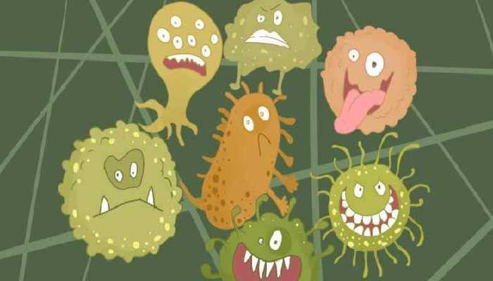 绿豆的功效与作用，绿豆的营养价值