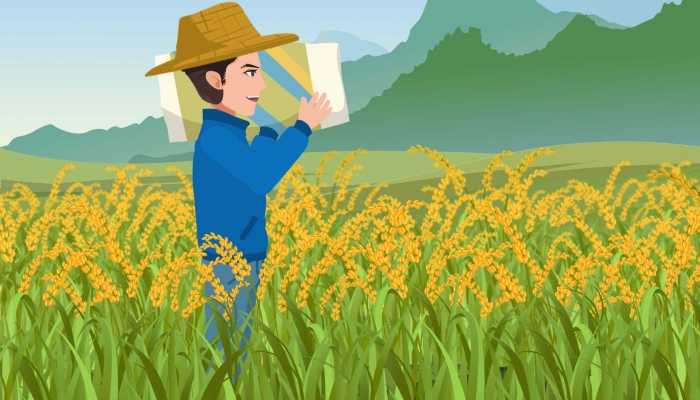 胚芽五谷的功效与作用，胚芽的注意事项