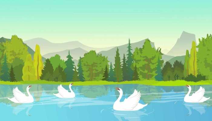 鹅肉的营养价值与功效有哪些，鹅的禁忌人群