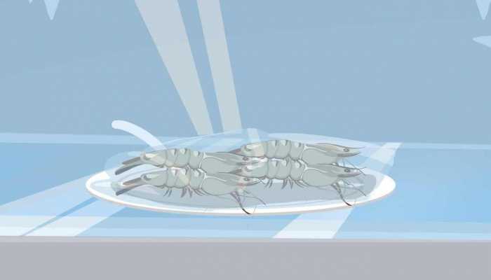 基围虾营养价值及功效，基围虾的作用