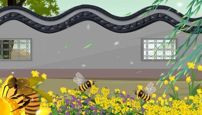 白酒加蜂蜜有什么功效，白酒加蜂蜜怎么酿造