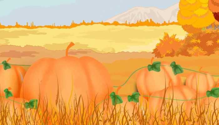 南瓜蜂蜜的问题，南瓜蜂蜜须知