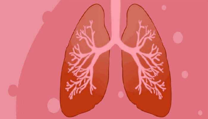 川贝蜂蜜有什么功效，川贝蜂蜜是什么