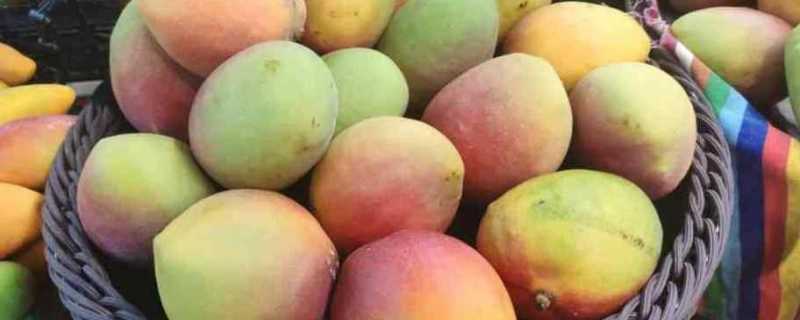 芒果的营养价值 芒果的功效和作用