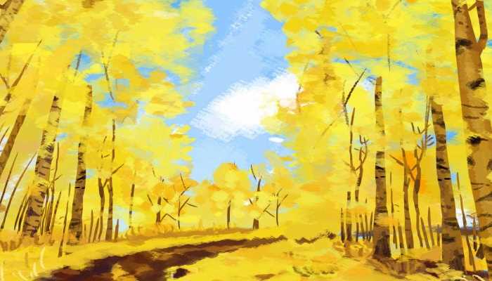 银杏能吃吗？ 银杏的食疗作用