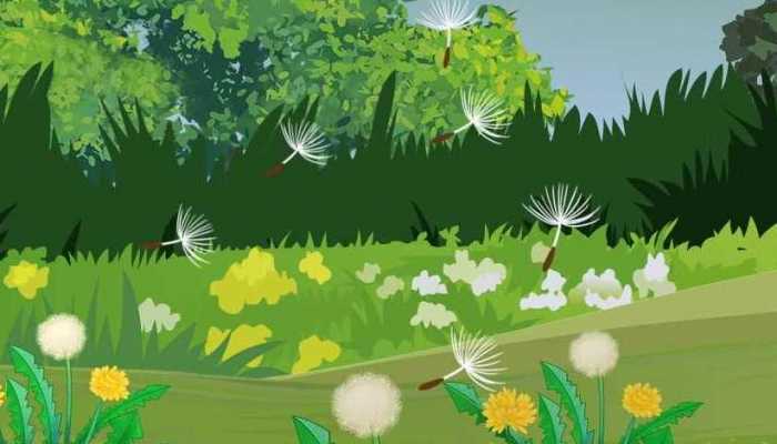 枸杞蒲公英泡水的功效，蒲公英枸杞怎么泡水