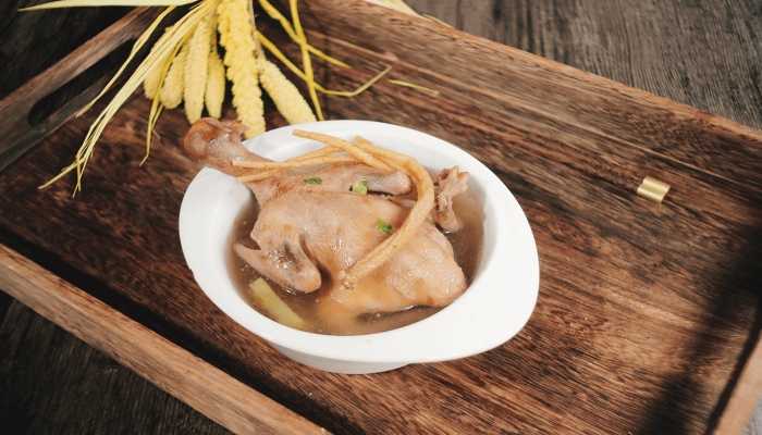 鸽子可以和什么一起炖 鸽子肉有何功效与作用