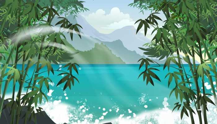 竹子酒的功效，竹子酒的做法