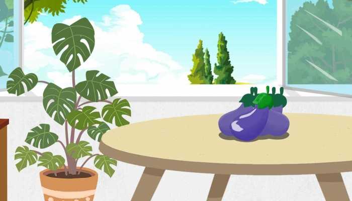 茄子的功效与作用 什么人适合多吃茄子