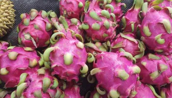 火龙果的食用价值 什么人适合吃火龙果