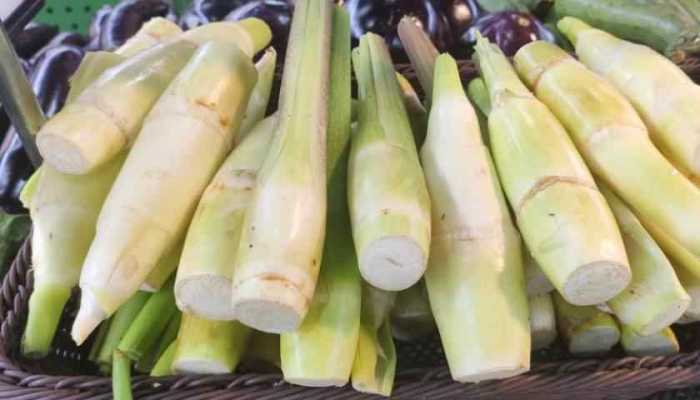 下奶又不胖的食物 什么食物下奶不胖